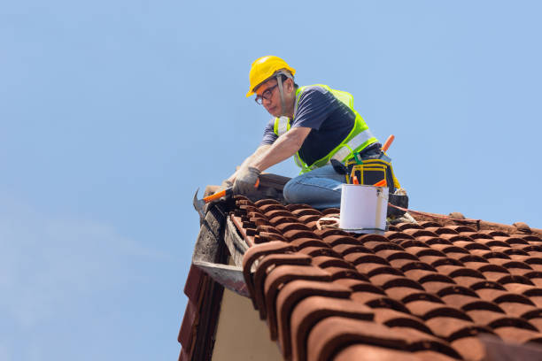 Best Roof Moss and Algae Removal  in Alma, MI